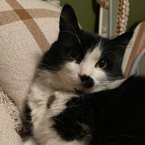 Meet your Posher, Susan